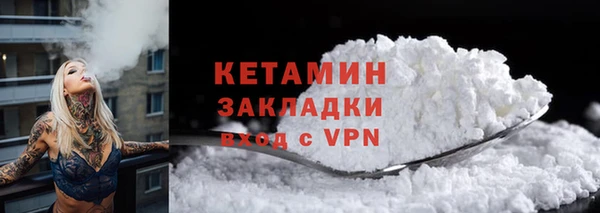 стаф Тайга