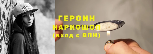стаф Тайга
