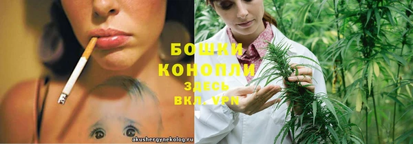 бошки Верея