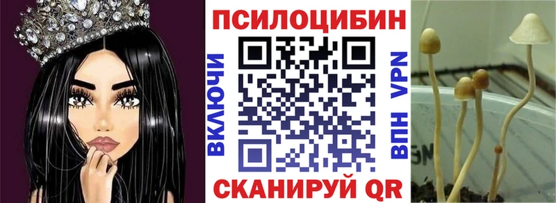 где найти   kraken вход  Галлюциногенные грибы мицелий  Новосокольники 